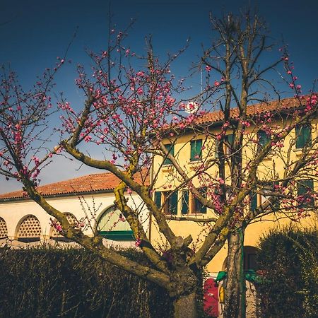 Вілла Le Vigne Morosina Cessalto Екстер'єр фото