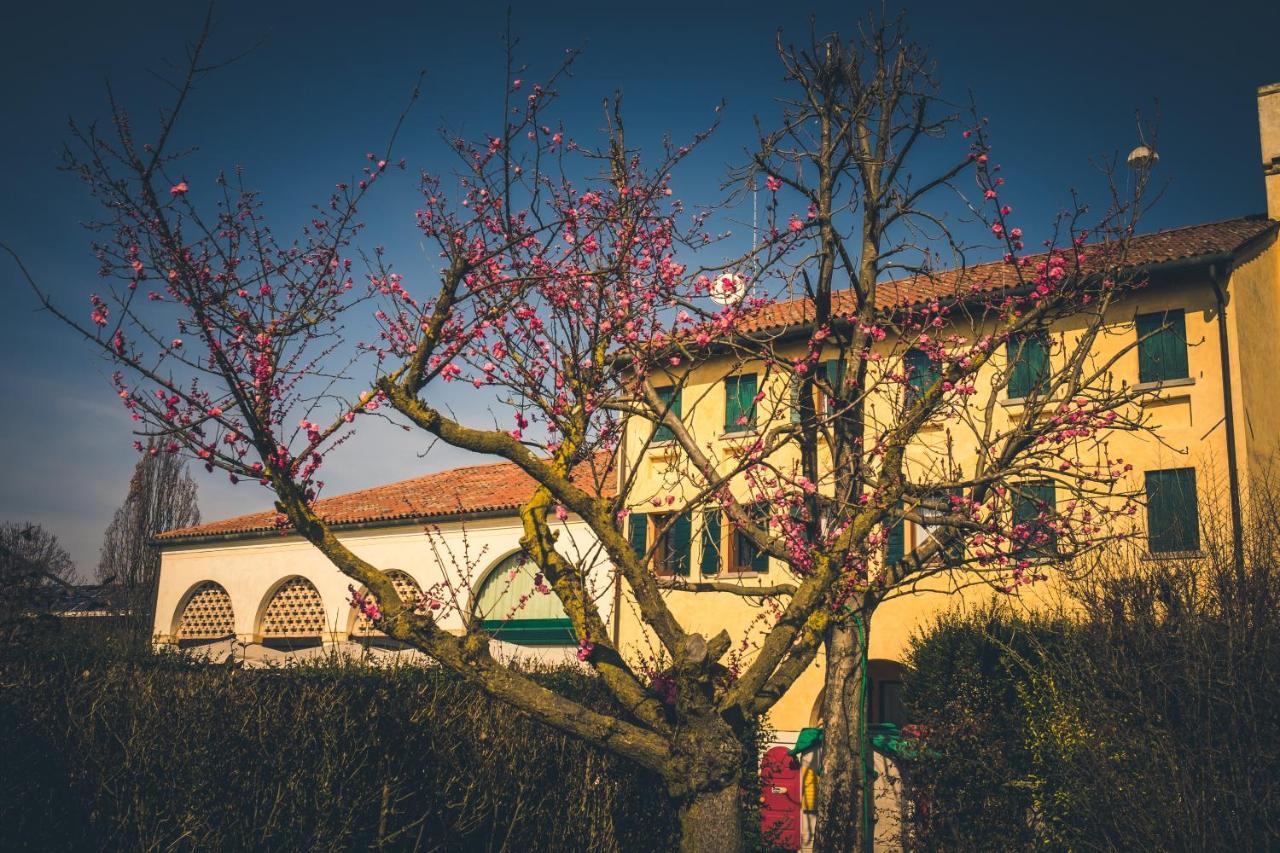 Вілла Le Vigne Morosina Cessalto Екстер'єр фото